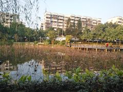 -光明港公园