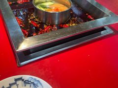 -二荆条·蜀鲜汇城市森林火锅