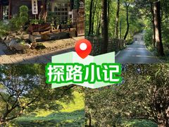 -灵隐飞来峰景区