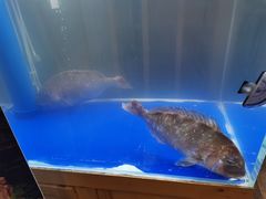 -富山日式料理(宽厚里店)