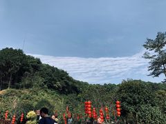 -广州市帽峰山景区