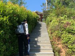 -田心森林公园