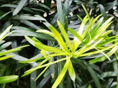 -成都杜甫草堂博物馆