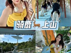 -盈香心动乐园