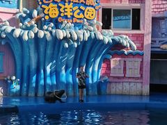 -华夏文旅海洋公园