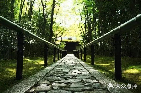 日式禅意庭院 | 走进，找到自己心灵的归宿[糖果]