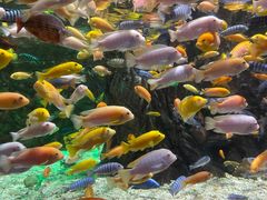 -太平洋海底世界