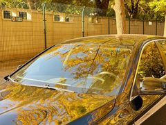 -三里屯东五街银杏大道