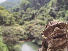 -鼎湖山风景区