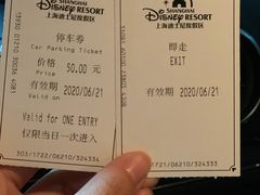 -迪士尼乐园停车场