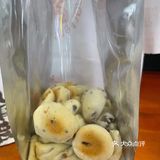 市中心的爆赞糕点