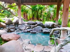 -天芳悦潭度假村温泉