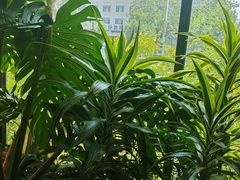 -太守宴·蘭院(天塔店)