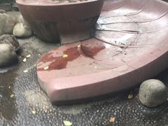 -成都市活水公园