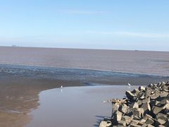 -南汇嘴观海公园