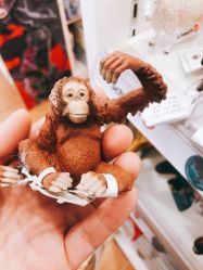 -kidsland(上海环球港店)