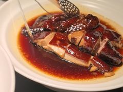 -三强鸽子(中原路店)
