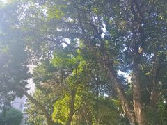 -上海安亭别墅花园酒店