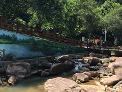 -广州白江湖森林公园