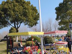 -贡湖湾湿地公园
