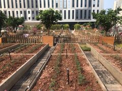 -星巴克(深圳软件园产业基地店)
