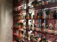 -二酉书店TOYOU BOOKS