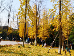 -塔子山公园
