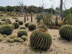 -东莞植物园