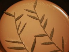 九曲红梅奶冻-解香楼(八盘岭路店)