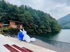 -江西阳明山国家森林公园