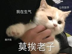 -情妹妹干锅锅(中海国际购物公园店)