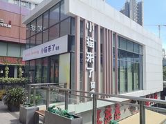 -小猫来了·猫咪专售(红山六九七九店)