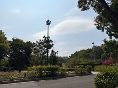 -东莞植物园