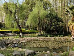 -苏州河梦清园环保主题公园