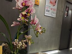 -施奈儿.洗头頭療.按摩SPA.采耳(上梅林店)