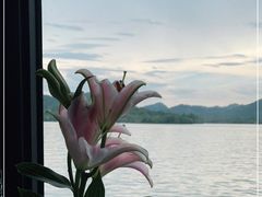 -柳莺湖上·湖景餐厅·江南菜(西湖店)