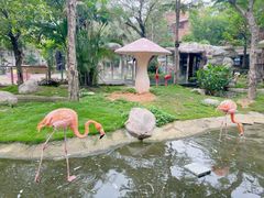 -灵玲国际马戏城