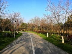 -尚贤河湿地
