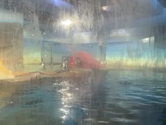 -海合安武汉极地海洋公园