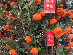 -红星光发煲仔饭(文海店)