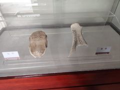 -洛阳周公庙博物馆