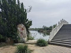 -大港湿地公园