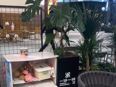 -一沙一城·岩烤牛扒(深圳首店)