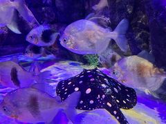 -沈阳海洋探索中心