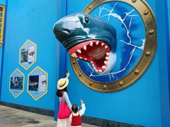 -海合安成都极地海洋公园