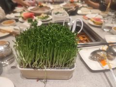 -海底捞火锅(绿洲梦想店)