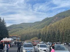 -塞罕坝国家级自然保护区