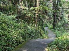-萝卜潭瀑布群景区