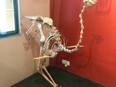 -吉隆坡雀鸟公园