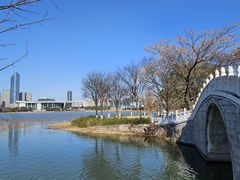 -月湖风景区